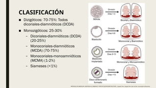 CLASIFICACIÓN
■ Dizigóticos: 70-75%: Todos
dicoriales-diamnióticos (DCDA)
■ Monozigóticos: 25-30%
– Dicoriales-diamnióticos (DCDA)
(20-25%)
– Monocoriales-diamnióticos
(MCDA) (70-75%)
– Monocoriales-monoamnióticos
(MCMA) (1-2%)
– Siameses (<1%)
PROTOCOLO DE BARCELONA, ASISTENCIA AL EMBARAZO Y PARTO DE GESTACIONES MULTIPLES . Hospital Clinic, Hospital Sant Joan de Déu, Universidad de Barcelona.
 
