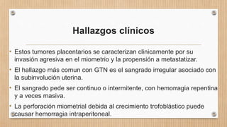 Hallazgos clínicos
• Estos tumores placentarios se caracterizan clinicamente por su
invasión agresiva en el miometrio y la propensión a metastatizar.
• El hallazgo más comun con GTN es el sangrado irregular asociado con
la subinvolución uterina.
• El sangrado pede ser continuo o intermitente, con hemorragia repentina
y a veces masiva.
• La perforación miometrial debida al crecimiento trofoblástico puede
causar hemorragia intraperitoneal.
 