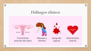 Hallazgos clínicos
 