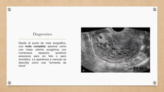 Diagnostico
Desde el punto de vista ecográfico,
una mola completa aparece como
una masa uterina ecogénica con
numerosos espacios quísticos
anecoicos pero sin feto o saco
amniótico. La apariencia a menudo se
describe como una “tormenta de
nieve”
 