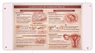 Comprehensive Overview of Ectopic and Molar Pregnancies: Diagnosis ...