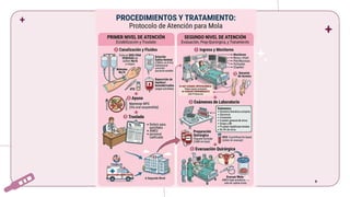 Comprehensive Overview of Ectopic and Molar Pregnancies: Diagnosis ...