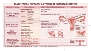 Comprehensive Overview of Ectopic and Molar Pregnancies: Diagnosis ...