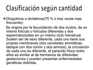 Dicigoticos o divitelinos(75 % o tres veces mas
frecuente):
Se origina por la fecundación de dos óvulos, de un
mismo folículo o folículos diferentes y dos
espermatozoides en un mismo ciclo menstrual.
Suelen ser de sexo diferente, cada uno tiene sus
propias membranas (dos cavidades amnióticas,
tabique con dos corion y dos amnios), la circulación
de cada uno es diferente, el parecido físico entre
ellos es similar al de hermanos de diferentes
gestaciones y pueden presentar enfermedades
genéticas distintas.
 