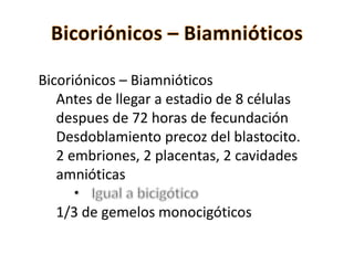 Bicoriónicos – Biamnióticos
Antes de llegar a estadio de 8 células
despues de 72 horas de fecundación
Desdoblamiento precoz del blastocito.
2 embriones, 2 placentas, 2 cavidades
amnióticas
1/3 de gemelos monocigóticos
 