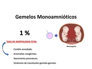 Gemelos Monoamnióticos
1 %
TASA DE MORTALIDAD FETAL
Cordón enredado.
Anomalías congénitas.
Nacimiento prematuro.
Síndrome de transfusión gemelo-gemelo.
 