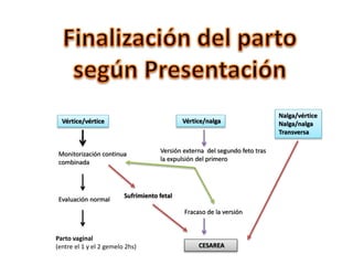 Vértice/vértice Vértice/nalga
Nalga/vértice
Nalga/nalga
Transversa
Monitorización continua
combinada
Evaluación normal
Parto vaginal
(entre el 1 y el 2 gemelo 2hs)
Sufrimiento fetal
Versión externa del segundo feto tras
la expulsión del primero
Fracaso de la versión
CESAREA
 
