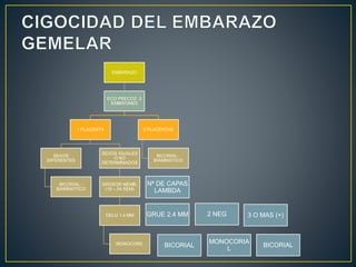 EMBARAZO
ECO PRECOZ: 2
EMBRIONES
1 PLACENTA
SEXOS
DIFERENTES
BICORIAL -
BIAMNIOTICO
SEXOS IGUALES
O NO
DETERMINADOS
GROSOR MEMB.
(16 – 24 SEM)
DELG 1.4 MM
MONOCORIL
2 PLACENTAS
BICORIAL -
BIAMNIOTICO
Nª DE CAPAS
LAMBDA
GRUE 2.4 MM 2 NEG 3 O MAS (+)
BICORIAL
MONOCORIA
L
BICORIAL
 