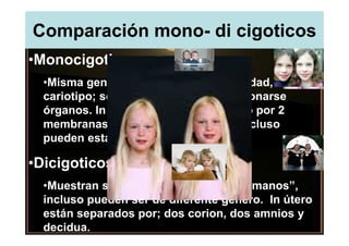 Comparación mono- di cigoticos
•Monocigoticos:
  •Misma genética (Gr, histocompatibilidad,
  cariotipo; son “idénticos”). Pueden donarse
  órganos. In útero están divididos solo por 2
  membranas (no corion ni decidua). Incluso
  pueden estar en un solo amnios.

•Dicigoticos:
  •Muestran similitudes propias de “hermanos”,
  incluso pueden ser de diferente genero. In útero
  están separados por; dos corion, dos amnios y
  decidua.
 