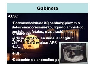 Gabinete
•U.S.:
  •Determinación de US seriado; para o
  •Se recomienda el cigocidad (6-7 sem
  antes si dicorionicas), liquido amniótico,
  determinar crecimiento,
  posiciones fetales, maduración, etc.
  •Anomalías,
  •Adicionalmente se mide la longitud
  •Crecimiento,
  cervical, para evaluar APP.
  •L.A.,
  •PBF,
  •Detección de anomalías poco frecuentes.
 