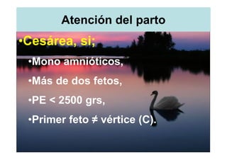 Atención del parto
•Cesárea, si;
 •Mono amnióticos,
 •Más de dos fetos,
 •PE < 2500 grs,
 •Primer feto ≠ vértice (C).
 
