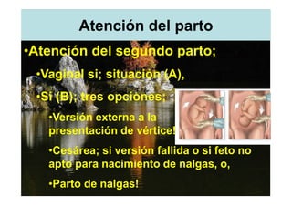 Atención del parto
•Atención del segundo parto;
 •Vaginal si; situación (A),
 •Si (B); tres opciones;
   •Versión externa a la
   presentación de vértice!
   •Cesárea; si versión fallida o si feto no
   apto para nacimiento de nalgas, o,
   •Parto de nalgas!
 