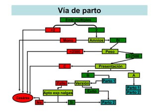 Vía de parto
                           Emb múltiples

                  >2                            2

                          Mono                Amnios           Bi

                               <2500                   Peso
                                                                    >2500

                          C                         Presentación

                                         B                             A
                                                     Parto 1
                       Fallo        Versión
                                                                    Parto 1
               Apto exp nalgas            Éxito                     Parto 2
Cesárea
          No                   Sí                    Parto 2
 