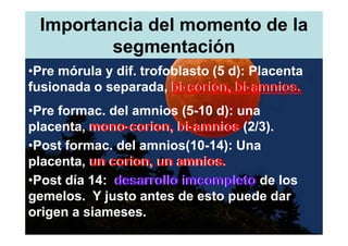 Importancia del momento de la
         segmentación
•Pre mórula y dif. trofoblasto (5 d): Placenta
fusionada o separada, bi-corion, bi-amnios.
•Pre formac. del amnios (5-10 d): una
placenta, mono-corion, bi-amnios (2/3).
•Post formac. del amnios(10-14): Una
placenta, un corion, un amnios.
•Post día 14: desarrollo imcompleto de los
gemelos. Y justo antes de esto puede dar
origen a siameses.
 