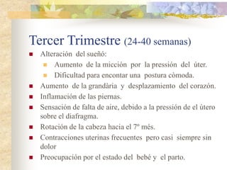 Tercer Trimestre (24-40 semanas)
   Alteración del sueñó:
      Aumento de la micción por la pressión del úter.
      Dificultad para encontar una postura còmoda.
   Aumento de la grandària y desplazamiento del corazón.
   Inflamación de las piernas.
   Sensación de falta de aire, debido a la pressión de el útero
    sobre el diafragma.
   Rotación de la cabeza hacia el 7º més.
   Contracciones uterinas frecuentes pero casi siempre sin
    dolor
   Preocupación por el estado del bebé y el parto.
 