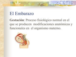 El Embarazo
Gestación: Proceso fisiológico normal en el
que se producen modificaciones anatómicas y
funcionales en el organismo materno.
 