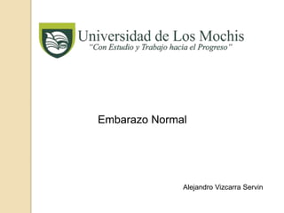 Embarazo Normal 
Alejandro Vizcarra Servin 
 