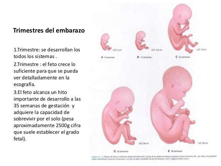 El coste los pinchazos de varikoza de las venas en los pies