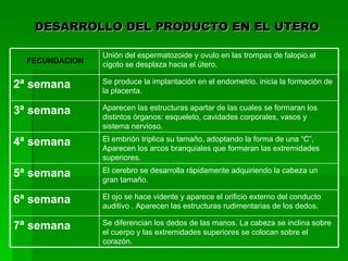 DESARROLLO DEL PRODUCTO EN EL UTERO

                Unión del espermatozoide y ovulo en las trompas de falopio.el
  FECUNDACION   cigoto se desplaza hacia el útero.

                Se produce la implantación en el endometrio. inicia la formación de
2ª semana       la placenta.

                Aparecen las estructuras apartar de las cuales se formaran los
3ª semana       distintos órganos: esqueleto, cavidades corporales, vasos y
                sistema nervioso.
                El embrión triplica su tamaño, adoptando la forma de una “C”,
4ª semana       Aparecen los arcos branquiales que formaran las extremidades
                superiores.
                El cerebro se desarrolla rápidamente adquiriendo la cabeza un
5ª semana       gran tamaño.

                El ojo se hace vidente y aparece el orificio externo del conducto
6ª semana       auditivo . Aparecen las estructuras rudimentarias de los dedos.

                Se diferencian los dedos de las manos. La cabeza se inclina sobre
7ª semana       el cuerpo y las extremidades superiores se colocan sobre el
                corazón.
 