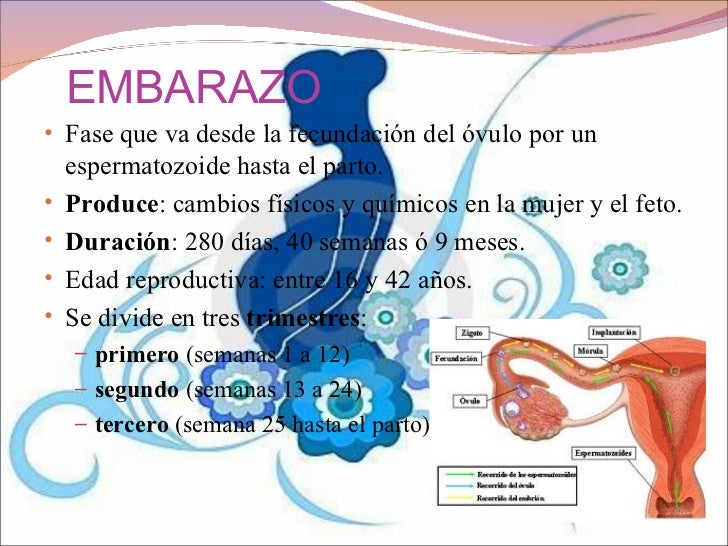 En el pecho los granos purulentos sobre la persona