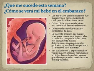  Los malestares casi desaparecen, hay
más energía y menos náuseas, lo
cual permite alimentarse mejor.
 Cuidar dieta, comenzarás a tener
una necesidad llamativa de comer.
 Debes cuidarte de los excesos y
controlar el tu peso.
 La placenta produce, además de
hormonas, una sustancia parecida a
la melanina que puede hacer que tu
piel se pigmente más en
determinadas zonas como en los
genitales, las areolas de tus pechos y
la línea media del abdomen.
 Ten cuidado con la exposición al sol
ya que pueden aparecer manchas en
la piel de la cara llamadas cloasma
gravídico que pueden persistir varios
meses postparto.
 
