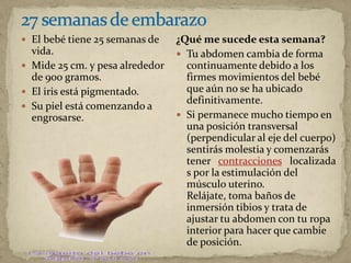  El bebé tiene 25 semanas de
vida.
 Mide 25 cm. y pesa alrededor
de 900 gramos.
 El iris está pigmentado.
 Su piel está comenzando a
engrosarse.
¿Qué me sucede esta semana?
 Tu abdomen cambia de forma
continuamente debido a los
firmes movimientos del bebé
que aún no se ha ubicado
definitivamente.
 Si permanece mucho tiempo en
una posición transversal
(perpendicular al eje del cuerpo)
sentirás molestia y comenzarás
tener contracciones localizada
s por la estimulación del
músculo uterino.
Relájate, toma baños de
inmersión tibios y trata de
ajustar tu abdomen con tu ropa
interior para hacer que cambie
de posición.
 