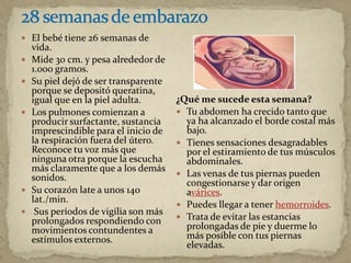 El bebé tiene 26 semanas de
vida.
 Mide 30 cm. y pesa alrededor de
1.000 gramos.
 Su piel dejó de ser transparente
porque se depositó queratina,
igual que en la piel adulta.
 Los pulmones comienzan a
producir surfactante, sustancia
imprescindible para el inicio de
la respiración fuera del útero.
Reconoce tu voz más que
ninguna otra porque la escucha
más claramente que a los demás
sonidos.
 Su corazón late a unos 140
lat./min.
 Sus períodos de vigilia son más
prolongados respondiendo con
movimientos contundentes a
estímulos externos.
¿Qué me sucede esta semana?
 Tu abdomen ha crecido tanto que
ya ha alcanzado el borde costal más
bajo.
 Tienes sensaciones desagradables
por el estiramiento de tus músculos
abdominales.
 Las venas de tus piernas pueden
congestionarse y dar origen
avárices.
 Puedes llegar a tener hemorroides.
 Trata de evitar las estancias
prolongadas de pie y duerme lo
más posible con tus piernas
elevadas.
 