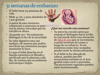  El bebé tiene 29 semanas de
vida.
 Mide 41 cm. y pesa alrededor de
1.500 gramos.
 A partir de este momento
comenzará a aumentar su peso
con la misma velocidad que ha
crecido en altura.
 ¡Ya puede ver!. No solamente
distinguir la luz de la oscuridad.
 Su tubo digestivo esta casi
maduro, de manera que podría
movilizar sus intestinos aunque
raramente lo hace.
 Lo que el bebé desecha en el
líquido amniótico es filtrado y
purificado por la placenta cada
día, de manera que su ambiente
está siempre limpio.
¿Qué me sucede esta semana?
 Tu útero ha crecido tanto que
empuja el diafragma hacia arriba
lo cual puede darte una sensación
de falta de aire que se incrementa
cuando terminas de comer o
luego de un esfuerzo. Si tus
intestinos están muy ocupados
puedes tener la misma sensación.
 Si el bebé se ha ubicado de
cabeza, puedes percibir
sensaciones extrañas en el área
genital como vacío o puntadas.
Tus secreciones vaginales pueden
estar incrementadas.
 