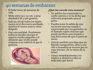  El bebé tiene 38 semanas de
vida.
 Mide entre 50 y 52 cm. y pesa
alrededor de 3.500 gramos.
 Solo un 5% de todos los bebés
nacen en el día exacto prefijado,
muchos lo hacen antes y otros
después.
 Hay una realidad, finalmente
todos se deciden porque el
espacio resulta pequeño y el
alimento que recibe puede
empezar a ser inferior al que le
gustaría.
¿Qué me sucede esta semana?
 Tu médico ha examinado tu
cuello uterino y te ha dicho que
todo está preparado para el
parto.
 Puedes notar la salida de una
secreción mucosa rosada o
amarronada por tus genitales, es
el llamado tapón mucoso que
puede perderse una semana o
una hora antes de que el parto se
inicie.
 Quizás también percibas que un
líquido transparente, tibio y con
olor a lavandina se escurre por tu
ropa interior. ¡Es la rotura de la
bolsa!.
 Llama inmediatamente a tu
médico u obstétrica ellos te
indicarán que hacer.
 