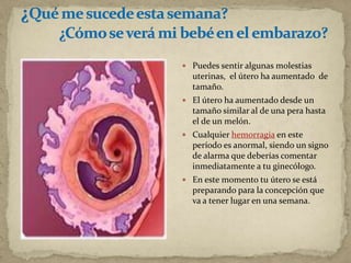   Puedes sentir algunas molestias
uterinas, el útero ha aumentado de
tamaño.
 El útero ha aumentado desde un
tamaño similar al de una pera hasta
el de un melón.
 Cualquier hemorragia en este
período es anormal, siendo un signo
de alarma que deberías comentar
inmediatamente a tu ginecólogo.
 En este momento tu útero se está
preparando para la concepción que
va a tener lugar en una semana.
 