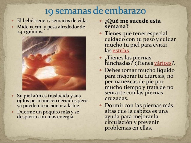 Cuanto Mide Un Bebe De 17 Semanas De Gestacion Consejos De Bebe Cuanto Mide Un Bebe De 17 Semanas De Gestacion Consejos De Bebe