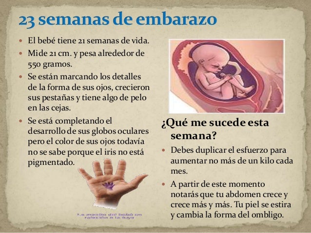 Las enfermedades y el tratamiento de los vasos del cuello
