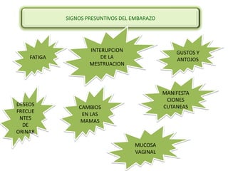 SIGNOS PRESUNTIVOS DEL EMBARAZO




                     INTERUPCION                   GUSTOS Y
    FATIGA               DE LA                     ANTOJOS
                     MESTRUACION




                                               MANIFESTA
                                                CIONES
DESEOS                                         CUTANEAS
                 CAMBIOS
FRECUE
                  EN LAS
 NTES
                  MAMAS
  DE
ORINAR

                                    MUCOSA
                                    VAGINAL
 