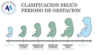 CLASIFICACION SEGÚN
PERIODO DE GESTACION
 