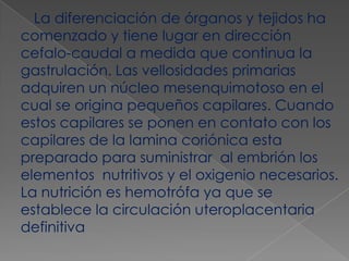 La diferenciación de órganos y tejidos ha
comenzado y tiene lugar en dirección
cefalo-caudal a medida que continua la
gastrulación. Las vellosidades primarias
adquiren un núcleo mesenquimotoso en el
cual se origina pequeños capilares. Cuando
estos capilares se ponen en contato con los
capilares de la lamina coriónica esta
preparado para suministrar al embrión los
elementos nutritivos y el oxigenio necesarios.
La nutrición es hemotrófa ya que se
establece la circulación uteroplacentaria
definitiva
 