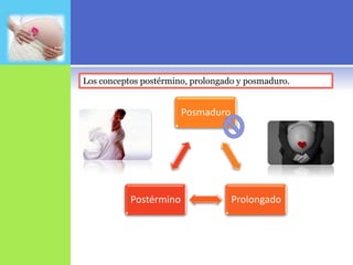 Los conceptos postérmino, prolongado y posmaduro.


                        Posmaduro




           Postérmino               Prolongado
 