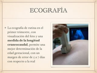 ECOGRAFÍA
La ecografía de rutina en el
primer trimestre, con
visualización del feto y una
medida de la longitud
craneocaudal, permite una
mejor determinación de la
edad gestacional, con un
margen de error de 5 a 7 días
con respecto a la real
 