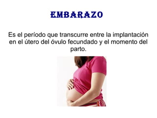 EMBARAZO
Es el período que transcurre entre la implantación
en el útero del óvulo fecundado y el momento del
parto.
 