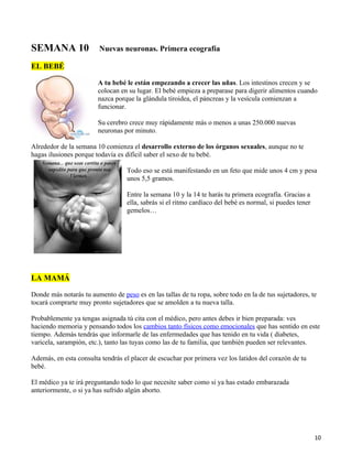 SEMANA 10                Nuevas neuronas. Primera ecografía

EL BEBÉ

                        A tu bebé le están empezando a crecer las uñas. Los intestinos crecen y se
                        colocan en su lugar. El bebé empieza a preparase para digerir alimentos cuando
                        nazca porque la glándula tiroidea, el páncreas y la vesícula comienzan a
                        funcionar.

                        Su cerebro crece muy rápidamente más o menos a unas 250.000 nuevas
                        neuronas por minuto.

Alrededor de la semana 10 comienza el desarrollo externo de los órganos sexuales, aunque no te
hagas ilusiones porque todavía es difícil saber el sexo de tu bebé.

                                   Todo eso se está manifestando en un feto que mide unos 4 cm y pesa
                                   unos 5,5 gramos.

                                   Entre la semana 10 y la 14 te harás tu primera ecografía. Gracias a
                                   ella, sabrás si el ritmo cardíaco del bebé es normal, si puedes tener
                                   gemelos…




LA MAMÁ

Donde más notarás tu aumento de peso es en las tallas de tu ropa, sobre todo en la de tus sujetadores, te
tocará comprarte muy pronto sujetadores que se amolden a tu nueva talla.

Probablemente ya tengas asignada tú cita con el médico, pero antes debes ir bien preparada: ves
haciendo memoria y pensando todos los cambios tanto físicos como emocionales que has sentido en este
tiempo. Además tendrás que informarle de las enfermedades que has tenido en tu vida ( diabetes,
varicela, sarampión, etc.), tanto las tuyas como las de tu familia, que también pueden ser relevantes.

Además, en esta consulta tendrás el placer de escuchar por primera vez los latidos del corazón de tu
bebé.

El médico ya te irá preguntando todo lo que necesite saber como si ya has estado embarazada
anteriormente, o si ya has sufrido algún aborto.




                                                                                                           10
 