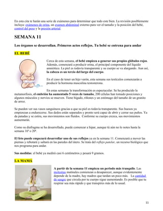 En esta cita te harán una serie de exámenes para determinar que todo este bien. La revisión posiblemente
incluya: exámenes de orina, un examen abdominal externo para ver el tamaño y la posición del bebé,
control del peso y la presión arterial.

SEMANA 11
Los órganos se desarrollan. Primeros actos reflejos. Tu bebé se entrena para andar

EL BEBÉ

                          Cerca de esta semana, el bebé empieza a generar sus propios glóbulos rojos.
                          Además, comenzará a producir orina, el principal componente del líquido
                          amniótico. La piel es todavía transparente y su cuerpo se va alargando. Aun así,
                          la cabeza es un tercio del largo del cuerpo.

                          En el caso de tener un hijo varón, esta semana sus testículos comenzarán a
                          producir la hormona masculina testosterona.

                        En estas semanas la transformación es espectacular. Se ha producido la
metamorfosis, el embrión ha aumentado 5 veces de tamaño, 200 células han tomado posiciones y
algunos músculos y nervios se mueven. Tiene hígado, riñones y un estómago del tamaño de un granito
de arroz.

Se pueden ver sus vasos sanguíneos gracias a que su piel es todavía transparente. Sus huesos ya
empienzan a endurecerse. Sus dedos están separados y pronto será capaz de abrir y cerrar sus puños. Ya
da patadas y se estira, sus movimientos son fluidos. Conforme su cuerpo crezca, sus movimientos
aumentarán.

Como su diafragma se ha desarrollado, puede comenzar a hipar, aunque tú aún no lo notes hasta la
semana 16ª o 20ª.

El feto puede empezará desarrollar uno de sus reflejos ya en la semana 11. Comenzará a mover las
piernas y rebotará y saltará en las paredes del útero. Se trata del reflejo patelar, un recurso biológico que
nos programa para andar.

Sus medidas: el bebé ya medirá casi 6 centímetros y pesará 9 gramos.

LA MAMÁ

                                A partir de la semana 11 empieza un periodo más tranquilo. Las
                                molestias matinales comienzan a desaparecer, aunque evidentemente
                                depende de la madre, hay madres que tardan un poco más. La cantidad
                                de sangre que circula por tu cuerpo sigue aumentando. Es posible que tu
                                respirar sea más rápido y que transpires más de lo usual.




                                                                                                           11
 