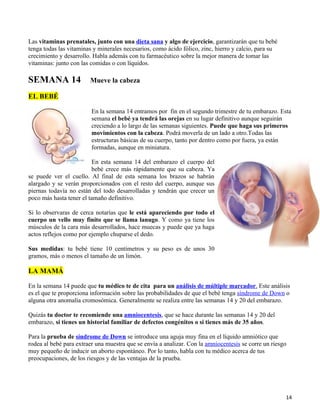 Las vitaminas prenatales, junto con una dieta sana y algo de ejercicio, garantizarán que tu bebé
tenga todas las vitaminas y minerales necesarios, como ácido fólico, zinc, hierro y calcio, para su
crecimiento y desarrollo. Habla además con tu farmacéutico sobre la mejor manera de tomar las
vitaminas: junto con las comidas o con líquidos.

SEMANA 14               Mueve la cabeza

EL BEBÉ

                         En la semana 14 entramos por fin en el segundo trimestre de tu embarazo. Esta
                         semana el bebé ya tendrá las orejas en su lugar definitivo aunque seguirán
                         creciendo a lo largo de las semanas siguientes. Puede que haga sus primeros
                         movimientos con la cabeza. Podrá moverla de un lado a otro.Todas las
                         estructuras básicas de su cuerpo, tanto por dentro como por fuera, ya están
                         formadas, aunque en miniatura.

                         En esta semana 14 del embarazo el cuerpo del
                         bebé crece más rápidamente que su cabeza. Ya
se puede ver el cuello. Al final de esta semana los brazos se habrán
alargado y se verán proporcionados con el resto del cuerpo, aunque sus
piernas todavía no están del todo desarrolladas y tendrán que crecer un
poco más hasta tener el tamaño definitivo.

Si lo observaras de cerca notarías que le está apareciendo por todo el
cuerpo un vello muy finito que se llama lanugo. Y como ya tiene los
músculos de la cara más desarrollados, hace muecas y puede que ya haga
actos reflejos como por ejemplo chuparse el dedo.

Sus medidas: tu bebé tiene 10 centímetros y su peso es de unos 30
gramos, más o menos el tamaño de un limón.

LA MAMÁ

En la semana 14 puede que tu médico te de cita para un análisis de múltiple marcador. Este análisis
es el que te proporciona información sobre las probabilidades de que el bebé tenga síndrome de Down o
alguna otra anomalía cromosómica. Generalmente se realiza entre las semanas 14 y 20 del embarazo.

Quizás tu doctor te recomiende una amniocentesis, que se hace durante las semanas 14 y 20 del
embarazo, si tienes un historial familiar de defectos congénitos o si tienes más de 35 años.

Para la prueba de síndrome de Down se introduce una aguja muy fina en el líquido amniótico que
rodea al bebé para extraer una muestra que se envía a analizar. Con la amniocentesis se corre un riesgo
muy pequeño de inducir un aborto espontáneo. Por lo tanto, habla con tu médico acerca de tus
preocupaciones, de los riesgos y de las ventajas de la prueba.




                                                                                                      14
 