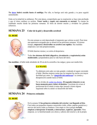 Tu útero habrá crecido hasta el ombligo. Por ello, tu barriga será más grande y tu peso seguirá
aumentando.

Estás en la mitad de tu embarazo. Por esta época, comprobarás que tu respiración se hace más profunda
y que el ritmo cardíaco se acelera. Tener sueño y seguir con cansancio es normal. Tu cuerpo ha
cambiado mucho desde las primeras semanas. Es hora de dormir mucho y olvidarte los grandes
esfuerzos.

SEMANA 23               Color de la piel y desarrollo cerebral

EL BEBÉ

                        En esta semana se está depositando el pigmento que colorea su piel. Ésta tiene
                        una apariencia arrugada que se alisará en las próximas semanas. Al mismo
                        tiempo, empezará a desarrollar su cerebro con rapidez. Sus medidas
                        empiezan a ser más proporcionadas.

                        El bebé duerme siestas y se estira al despertarse.

                        Todos los sistemas del bebé (digestivo, circulatorio y respiratorio) están
                        madurando y preparándose para la vida fuera del útero.

Sus medidas: el bebé mide alrededor de 20 cm de la coronilla a las nalgas y pesa casi medio kilo.

                                   LA MAMÁ

                                   Tu abdomen está cada vez más grande y redondo al seguir creciendo
                                   el bebé. Muchas mujeres notan que les sangran las encías con mayor
                                   facilidad que antes. La “gingivitis del embarazo” es común y
                                   desaparecerá cuando nazca el bebé.

                                   No te olvides de cuidar tus dientes. El segundo trimestre es un
                                   buen momento para visitar al dentista. Cerciórate de avisar al
                                   profesional de la salud si notas algo inusual o tienes alguna
                                   inquietud sobre tu salud o el desarrollo del bebé.

SEMANA 24              Primeros estímulos

EL BEBÉ

                        En la semana 24 los primeros estímulos del exterior van llegando al feto.
                        Casi todos sus pequeños órganos sensoriales (oído, olfato, papilas gustativas y
                        nervios del tacto) están ya maduros. Esta etapa es clave porque tu bebé
                        empieza a interpretar el mundo, a interactuar, explorar, aprender. Para
                        empezar, se va familiarizando con olores y sabores del exterior y de la propia



                                                                                                      22
 