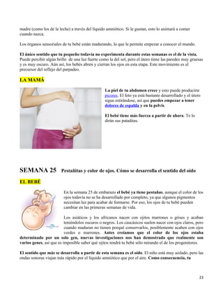 madre (como los de la leche) a través del líquido amniótico. Si le gustan, esto lo animará a comer
cuando nazca.

Los órganos sensoriales de tu bebé están madurando, lo que le permite empezar a conocer el mundo.

El único sentido que tu pequeño todavía no experimenta durante estas semanas es el de la vista.
Puede percibir algún brillo de una luz fuerte como la del sol, pero el útero tiene las paredes muy gruesas
y es muy oscuro. Aún así, los bebés abren y cierran los ojos en esta etapa. Este movimiento es el
precursor del reflejo del parpadeo.

LA MAMÁ

                                                 La piel de tu abdomen crece y esto puede producirte
                                                 picores. El feto ya está bastante desarrollado y el útero
                                                 sigue estirándose, así que puedes empezar a tener
                                                 dolores de espalda y en la pelvis.

                                                 El bebé tiene más fuerza a partir de ahora. Te lo
                                                 dirán sus pataditas.




SEMANA 25               Pestañitas y color de ojos. Cómo se desarrolla el sentido del oído

EL BEBÉ

                         En la semana 25 de embarazo el bebé ya tiene pestañas, aunque el color de los
                         ojos todavía no se ha desarrollado por completo, ya que algunos pigmentos
                         necesitan luz para acabar de formarse. Por eso, los ojos de tu bebé pueden
                         cambiar en las primeras semanas de vida.

                          Los asiáticos y los africanos nacen con ojitos marrones o grises y acaban
                          teniéndolos oscuros o negros. Los caucásicos suelen nacer con ojos claros, pero
                          cuando maduran no tienen porqué conservarlos, posiblemente acaben con ojos
                          verdes o marrones. Antes creíamos que el color de los ojos estaba
determinado por un solo gen, nuevas investigaciones nos han demostrado que realmente son
varios genes, así que es imposible saber qué ojitos tendrá tu bebé sólo mirando el de los progenitores.

El sentido que más se desarrolla a partir de esta semana es el oído. El niño está muy aislado, pero las
ondas sonoras viajan más rápido por el líquido amniótico que por el aire. Como consecuencia, tu



                                                                                                         23
 