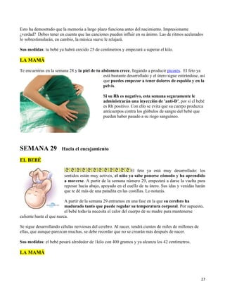 Esto ha demostrado que la memoria a largo plazo funciona antes del nacimiento. Impresionante
¿verdad? Debes tener en cuenta que las canciones pueden influir en su ánimo. Las de ritmos acelerados
lo sobrestimularán, en cambio, la música suave le relajará.

Sus medidas: tu bebé ya habrá crecido 25 de centímetros y empezará a superar el kilo.

LA MAMÁ

Te encuentras en la semana 28 y la piel de tu abdomen crece, llegando a producir picores. El feto ya
                                               está bastante desarrollado y el útero sigue estirándose, así
                                               que puedes empezar a tener dolores de espalda y en la
                                               pelvis.

                                                Si su Rh es negativo, esta semana seguramente le
                                                administrarán una inyección de 'anti-D', por si el bebé
                                                es Rh positivo. Con ello se evita que su cuerpo produzca
                                                anticuerpos contra los glóbulos de sangre del bebé que
                                                puedan haber pasado a su riego sanguíneo.




SEMANA 29               Hacia el encajamiento

EL BEBÉ

                                                               El feto ya está muy desarrollado: los
                         sentidos están muy activos, el niño ya sabe ponerse cómodo y ha aprendido
                         a moverse. A partir de la semana número 29, empezará a darse la vuelta para
                         reposar hacia abajo, apoyado en el cuello de tu útero. Sus idas y venidas harán
                         que te dé más de una patadita en las costillas. Lo notarás.

                          A partir de la semana 29 entramos en una fase en la que su cerebro ha
                          madurado tanto que puede regular su temperatura corporal. Por supuesto,
                          el bebé todavía necesita el calor del cuerpo de su madre para mantenerse
caliente hasta el que nazca.

Se sigue desarrollando células nerviosas del cerebro. Al nacer, tendrá cientos de miles de millones de
ellas, que aunque parezcan muchas, se debe recordar que no se crearán más después de nacer.

Sus medidas: el bebé pesará alrededor de 1kilo con 400 gramos y ya alcanza los 42 centímetros.

LA MAMÁ




                                                                                                         27
 