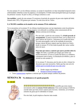 En esta semana 35 y en las últimas semanas, tu cuerpo le transferirá a tu hijo inmunidad temporal contra
enfermedades infantiles (como las paperas y el sarampión). El bebé estará protegido hasta que le pongas
las primeras vacunas. Su piel se alisa y el lanugo comienza a caer.

Sus medidas: a partir de esta semana 35 comienza el período de aumento de peso más rápido del bebé.
Ganará entre 250 y 350 gramos por semana. Ya está cerca de los 3 kilos.

LA MAMÁ cambios en la madre en la semana 35 de embarazo

Ya te encuentras en la semana 35, las últimas transformaciones son tan importantes como las primeras.
Hay un cambio muy curioso: algunas mujeres ven sobresalir su ombligo como consecuencia de los
                                           últimos estirones de la barriga.

                                           Por otro lado, a partir de esta semana 35, el bebé procede al
                                           encajamiento: se pone en posición fetal, con la cabeza en la
                                           parte inferior de la pelvis, y descansa en el cuello del útero.
                                           No estés preocupada si aun no ha cambado de posición,
                                           porque a pesar del poco espacio que hay ahora en el útero,
                                           desde la semana 35 el feto todavía puede dar varias vueltas
                                           antes de nacer.

                                           Pesa más que nunca y notarás que ejerce presión sobre la
                                           vejiga. Por tanto, es posible que tengas que orinar con
                                           mucha frecuencia. El cérvix (cuello del útero) va a dilatarse,
                                           a prepararse para el parto. La hinchazón de tobillos y pies es
                                           normal en esta semana 35.

                                           Es la semana 35, descansa, pon los pies en alto y tómate los
                                           descansos que sean necesarios. Sabes que hay una serie de
                                           señales que te avisarán de que vas a dar a luz:

                                               •  Perder sangre roja brillante
                                               •  Romper la bolsa (romper aguas)
   •   Tener contracciones regulares e intensas que no paran aunque cambies de postura

SEMANA 36              Tu abdomen se le queda pequeño

EL BEBÉ

                                                                      Es posible que notes menos
                         movimiento sobre la semana 36 del embarazo. Esto ocurre porque el bebé ha
                         crecido tanto que tiene menos espacio para moverse. Asimismo, se le forman
                         cúmulos de grasa que le redondean el cuerpo.

                         Por otro lado, la piel empieza a hacerse más rosada.




                                                                                                        34
 