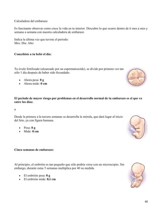 Calculadora del embarazo

Es fascinante observar como crece la vida en tu interior. Descubre lo que ocurre dentro de tí mes a mes y
semana a semana con nuestra calculadora de embarazo

Indica la última vez que tuviste el periodo:
Mes: Día: Año:


Concebiste a tu bebé el día:



Tu óvulo fertilizado (alcanzado por un espermatozoide), se divide por primera vez tan
sólo 1 día después de haber sido fecundado.

    •   Ahora pesa: 0 g
    •   Ahora mide: 0 cm



El periodo de mayor riesgo por problemas en el desarrollo normal de tu embarazo es el que va
entre los días:

a

Desde la primera a la tercera semanas se desarrolla la mórula, que dará lugar al inicio
del feto, ya con figura humana.

    •   Pesa: 0 g
    •   Mide: 0 cm




Cinco semanas de embarazo:



Al principio, el embrión es tan pequeño que sólo podría verse con un microscopio. Sin
embargo, durante estas 5 semanas multiplica por 40 su medida.

    •   El embrión pesa: 0 g
    •   El embrión mide: 0,1 cm




                                                                                                      40
 