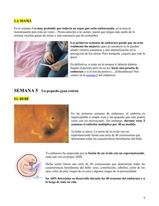 LA MAMÁ

En la semana 4 es muy probable que todavía no sepas que estás embarazada, ya te toca tu
menstruación pero ésta no viene... Presta atención a tu cuerpo: puede que tengas más sueño de lo
normal, muchas ganas de orinar y más cansancio que de costumbre.

                                             Las primeras semanas de embarazo puede que no sean
                                             realmente las mejores, pues al cansancio se le pueden
                                             añadir vómitos matutinos y una intensificación en la
                                             percepción de los olores. Pero tranquila, ¡seguro que vale la
                                             pena!

                                             En definitiva, si estás en la semana 4, debería haberte
                                             bajado el periodo pero no es así, hazte una prueba de
                                             embarazo y si el test da positivo... ¡Enhorabuena! Nos
                                             vemos en la semana 5 del embarazo.




SEMANA 5             Un pequeño gran estirón

EL BEBÉ



                                             En las primeras semanas de embarazo, el embrión es
                                             imperceptible a simple vista y tan pequeño que sólo podría
                                             verse con un microscopio. Sin embargo, durante estas 5
                                             semanas el embrión multiplica por 40 su medida.

                                             Tu bebé es único. La unión de tu óvulo con un
                                             espermatozoide forma una serie de 46 cromosomas que
                                             determinan todas las características hereditarias del bebé.



                         Tu embarazo ha empezado por la fusión de un óvulo con un espermatozoide,
                         cada uno con su propio ADN.

                         Dicha unión forma una serie de 46 cromosomas que determinan todas las
                         características hereditarias del bebé: sexo, constitución, cabellos, color de los
                         ojos, color de piel, rasgos de su cara y algunos rasgos de su personalidad.

                         Su ADN determina su desarrollo durante las 40 semanas del embarazo y a
                         lo largo de toda su vida.




                                                                                                           5
 