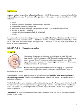 LA MAMÁ

Algunas mujeres no perciben señales de embarazo y sólo lo descubren por el retraso de la regla. Sin
embargo, hay una serie de síntomas a los que debes estar atenta si quieres identificar un posible
embarazo:

   •   fatiga
   •   náuseas y vómitos, sobre todo al levantarte por la mañana
   •   aumento del volumen de los pechos
   •   más ganas de orinar, dado que el crecimiento del útero ejerce presión sobre la vejiga
   •   presión en la pelvis y la cadera
   •   sentido del olfato más desarrollado de lo habitual
   •   antojos

La acción de las hormonas también puede provocar inestabilidad en tu estado emocional. Puedes tener
cambios de actitud, acumular nervios… Intenta ser positiva porque el embarazo es una etapa única
de tu vida. Trata de olvidar miedos e inseguridades. Y recuerda: si ves algo fuera de lo normal, no
dudes en consultar a tu médico.

SEMANA 6                Una cabeza grandota

EL BEBÉ

                            ¿Sientes que tienes cada un día un nuevo sentimiento de amor, felicidad,
                            incertidumbre por la llegada de tu bebé? Dentro de ti está creciendo una nueva
                            vida y es maravilloso. El corazón de tu hijo sigue creciendo y sus células
                            siguen dividiéndose sin parar y se empieza a parecer más a un bebé, aunque
                            sólo tiene el tamaño de una lenteja.

                            Su cabeza es muy grande en comparación con el cuerpo y ya hay manchas
                            oscuras donde luego tendrá la nariz y los ojitos, y huecos donde luego se
desarrollarán las orejas.

Las piernecitas y brazos por el momento no sobresalen mucho. Sus dedos todavía no se distinguen
pero no tardará mucho. También empeazará a marcarse el cuello y la lengua y las cuerdas vocales ya
están desarrollándose.

Tanto los intestinos como los pulmones también están empezando a formarse, así como las fibras de
los músculos. Y a mediados de esta semana 6, puede ser que empiece a mover las piernas y los brazos!
Pero… ten un poco de paciencia porque todavía habrá que esperar varias semanas hasta que puedas
sentir sus pataditas.

Sus medidas: al final de esta semana el bebé medirá alrededor de 5-6 mm. El crecimiento durante esta
semana es muy rápido.




                                                                                                         6
 