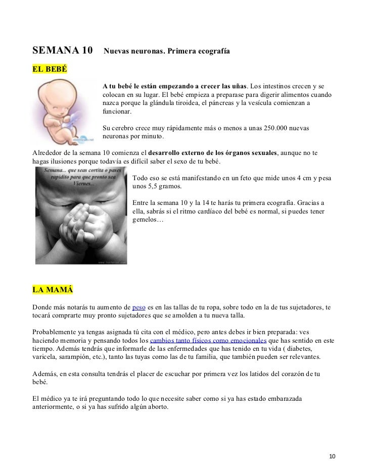 A Los Cuantos Meses Se Empieza A Mover Un Bebe En El Vientre - Consejos - A Las Cuantas Semanas Se Empieza A Mover El Bebe