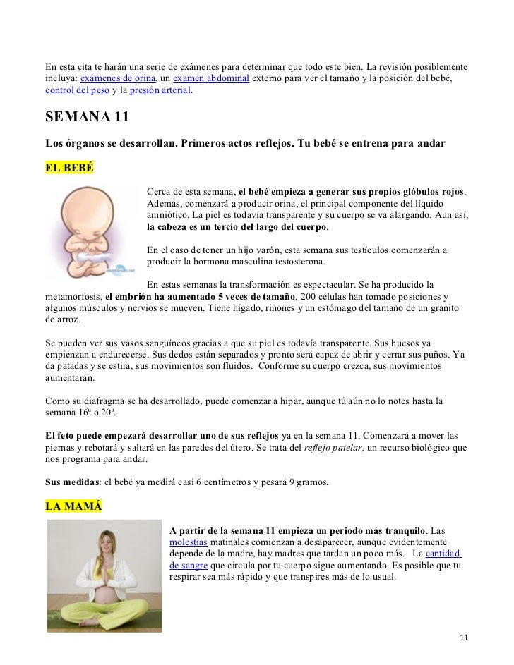 A Los Cuantos Meses Se Empieza A Mover Un Bebe - Consejos de Bebé - A Las Cuantas Semanas Se Empieza A Mover El Bebe